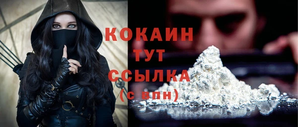 ешки Корсаков