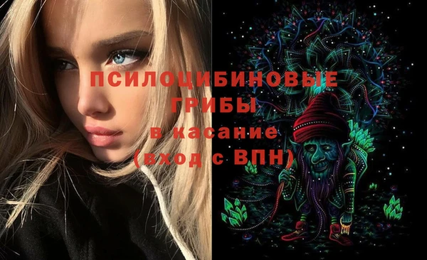 ешки Корсаков